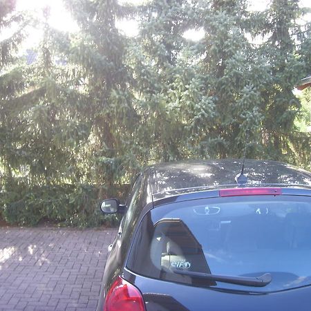 Ferienwohnung Ina 鲁斯特 外观 照片